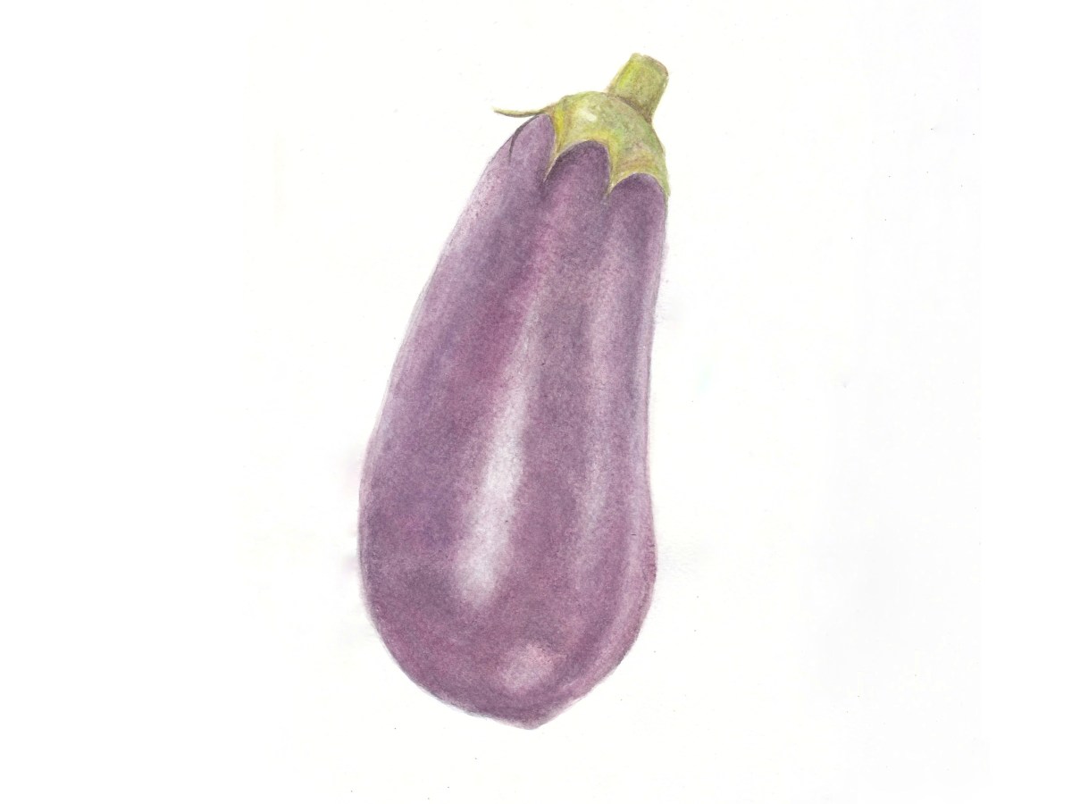 Aubergine