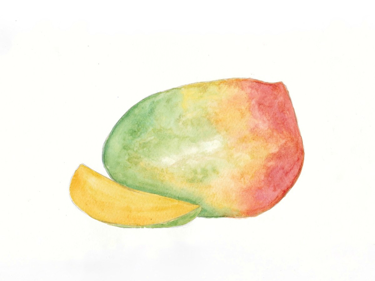 Mango