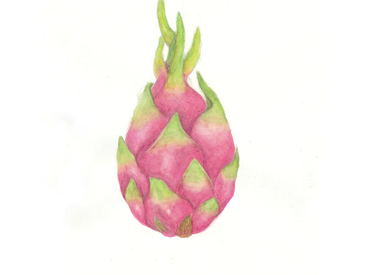Dragonfruit