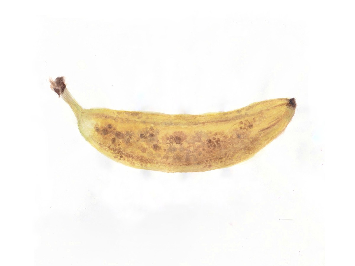 Banana