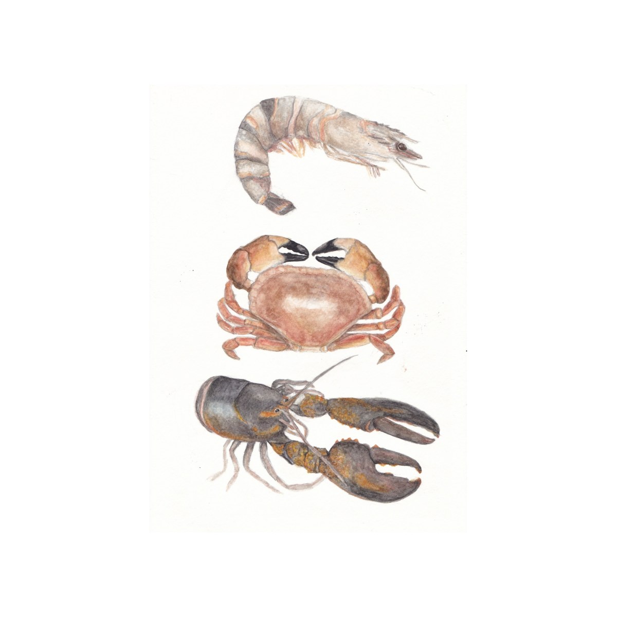 Crustaceans