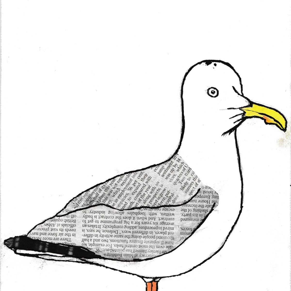 Seagull | 1