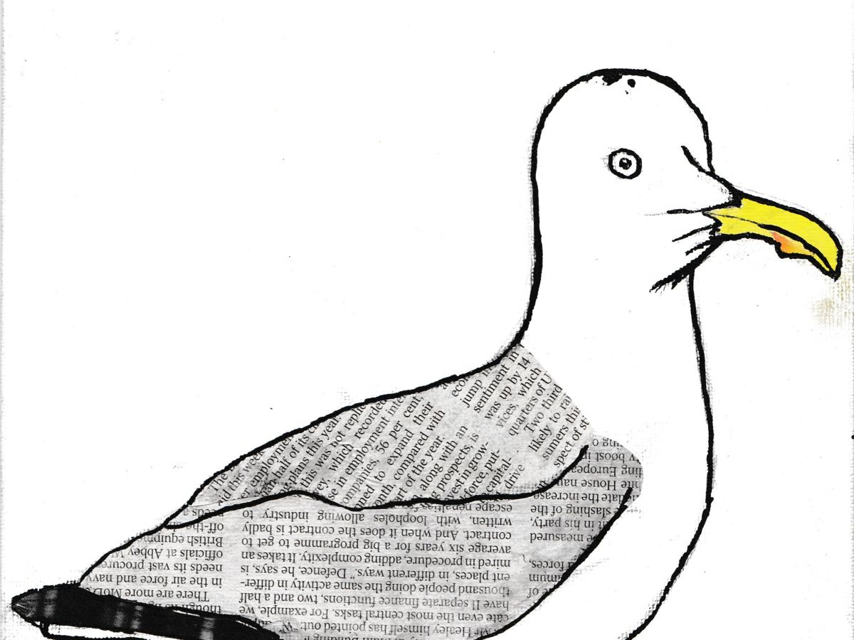 Seagull | 1