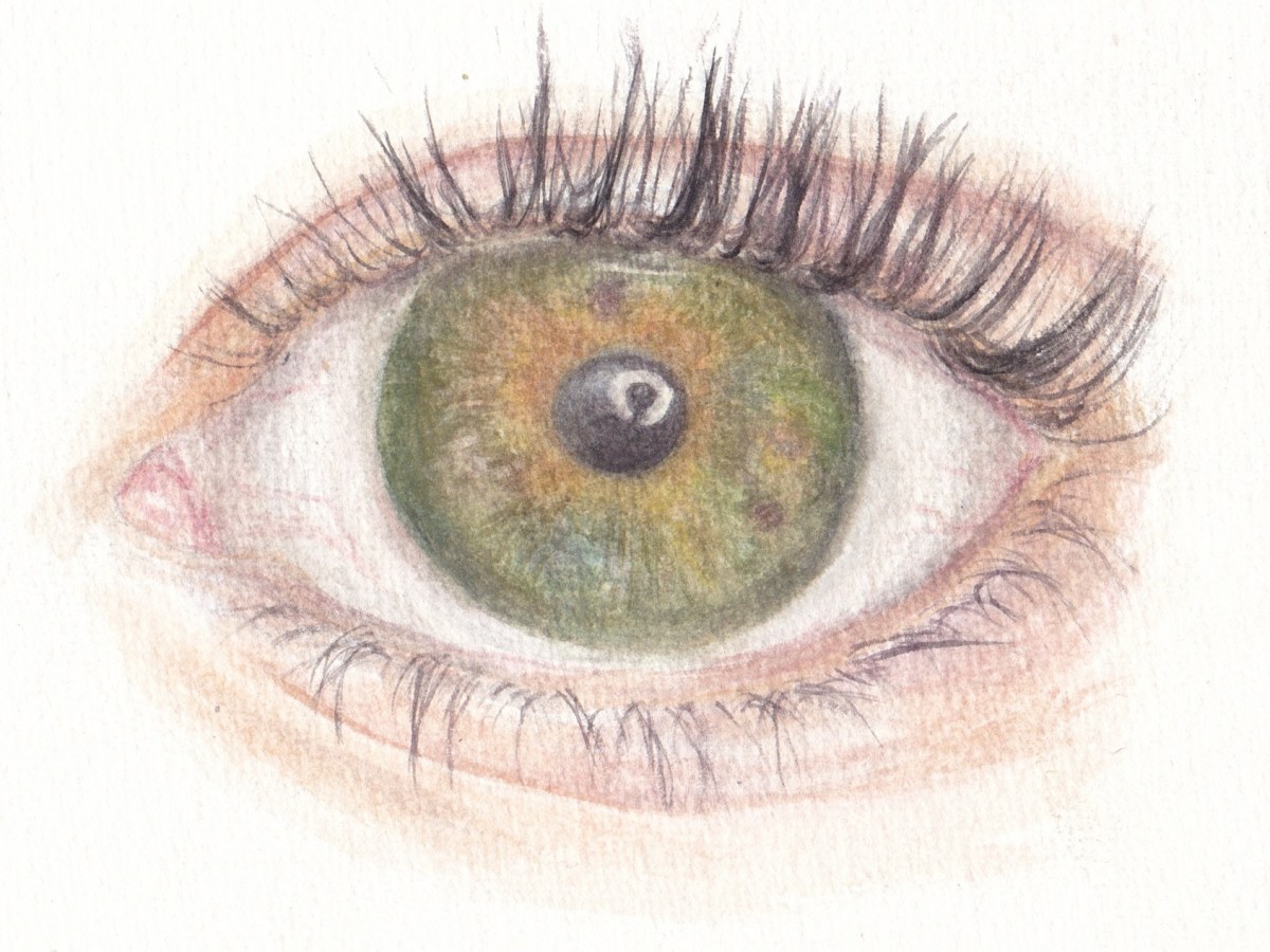 Eye