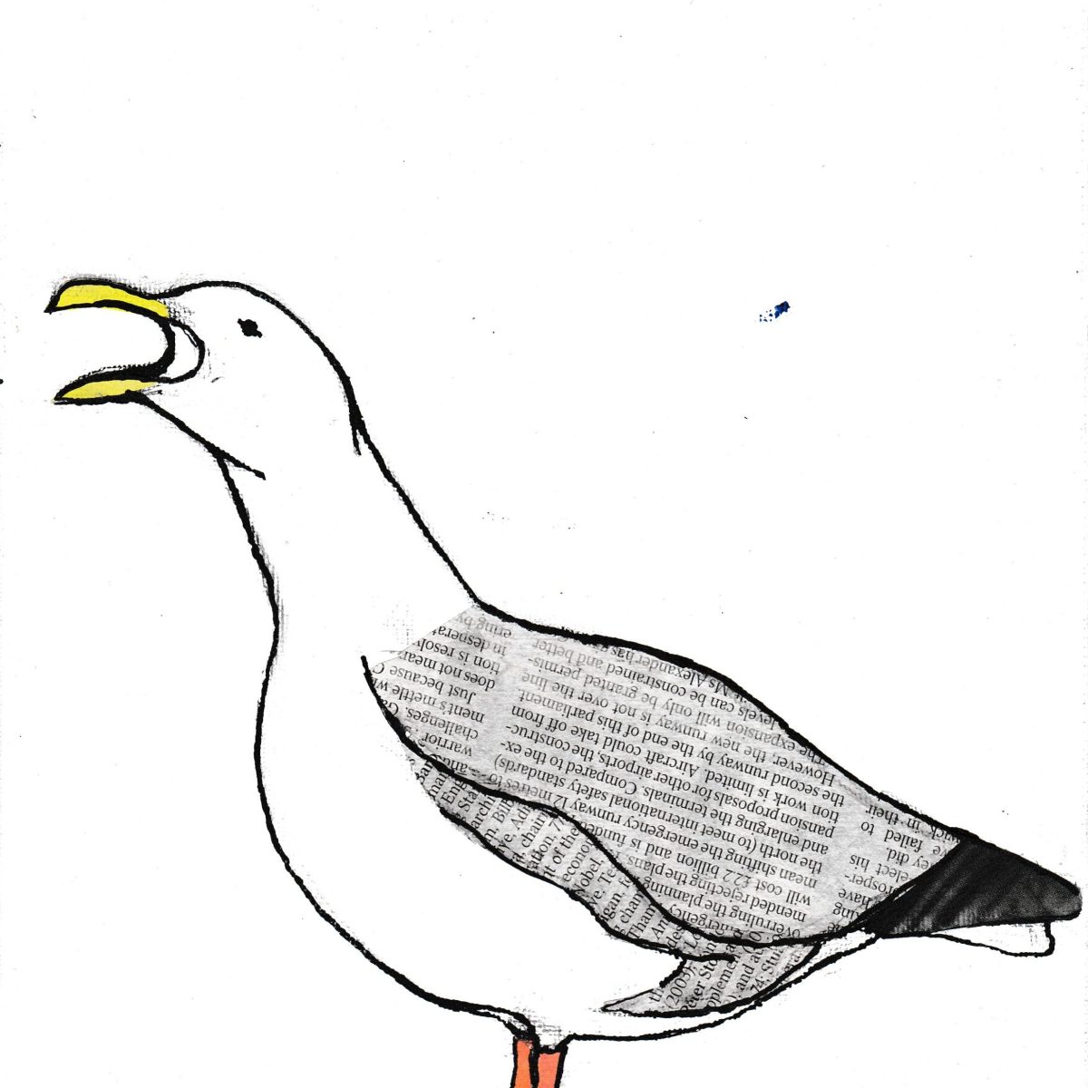 Seagull | 2