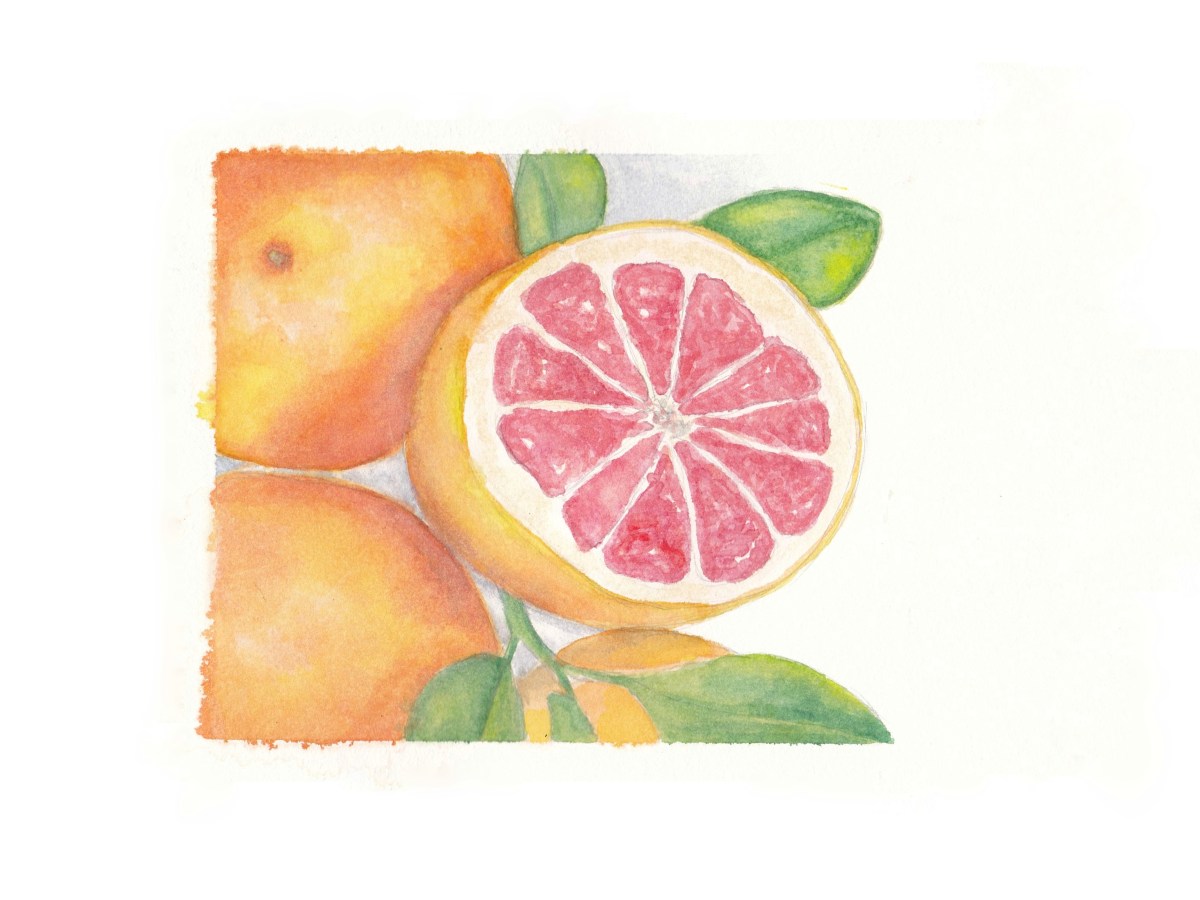 Grapefruit