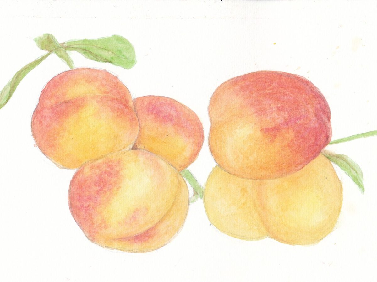 Peach
