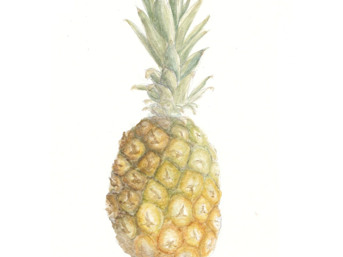 Pineapple