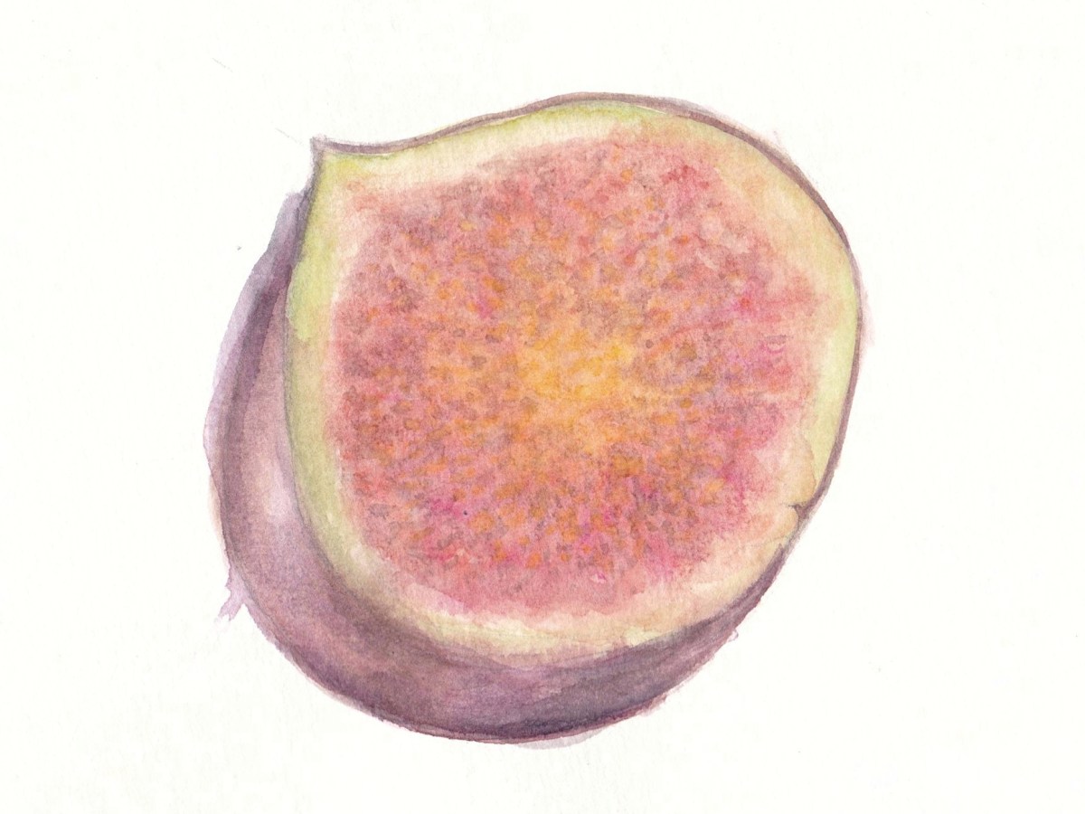 Fig