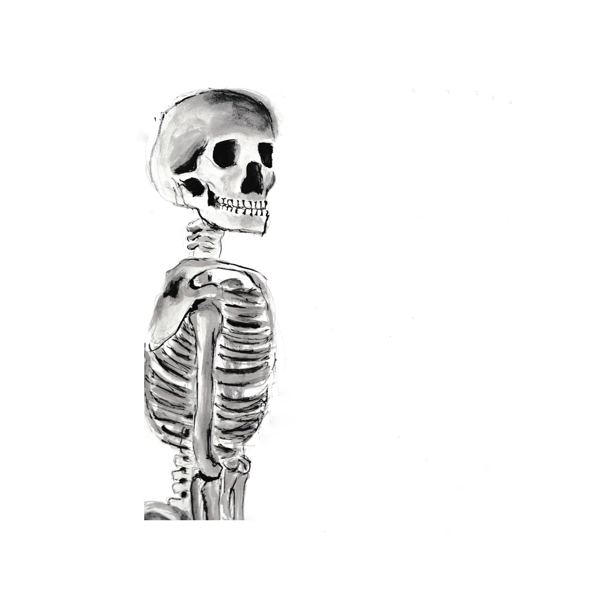 Skull | 3