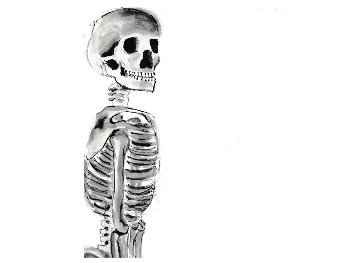Skull | 3