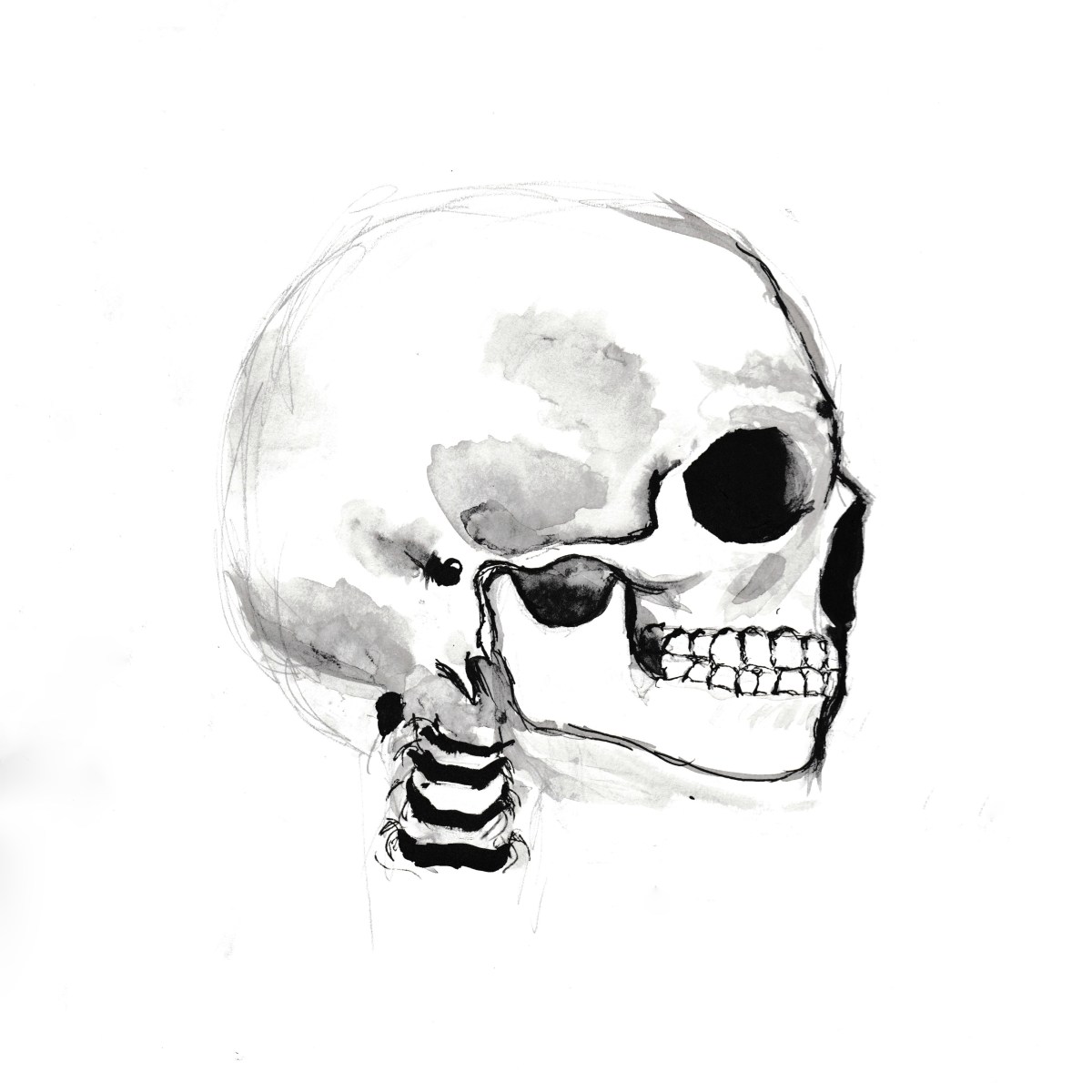 Skull | 1