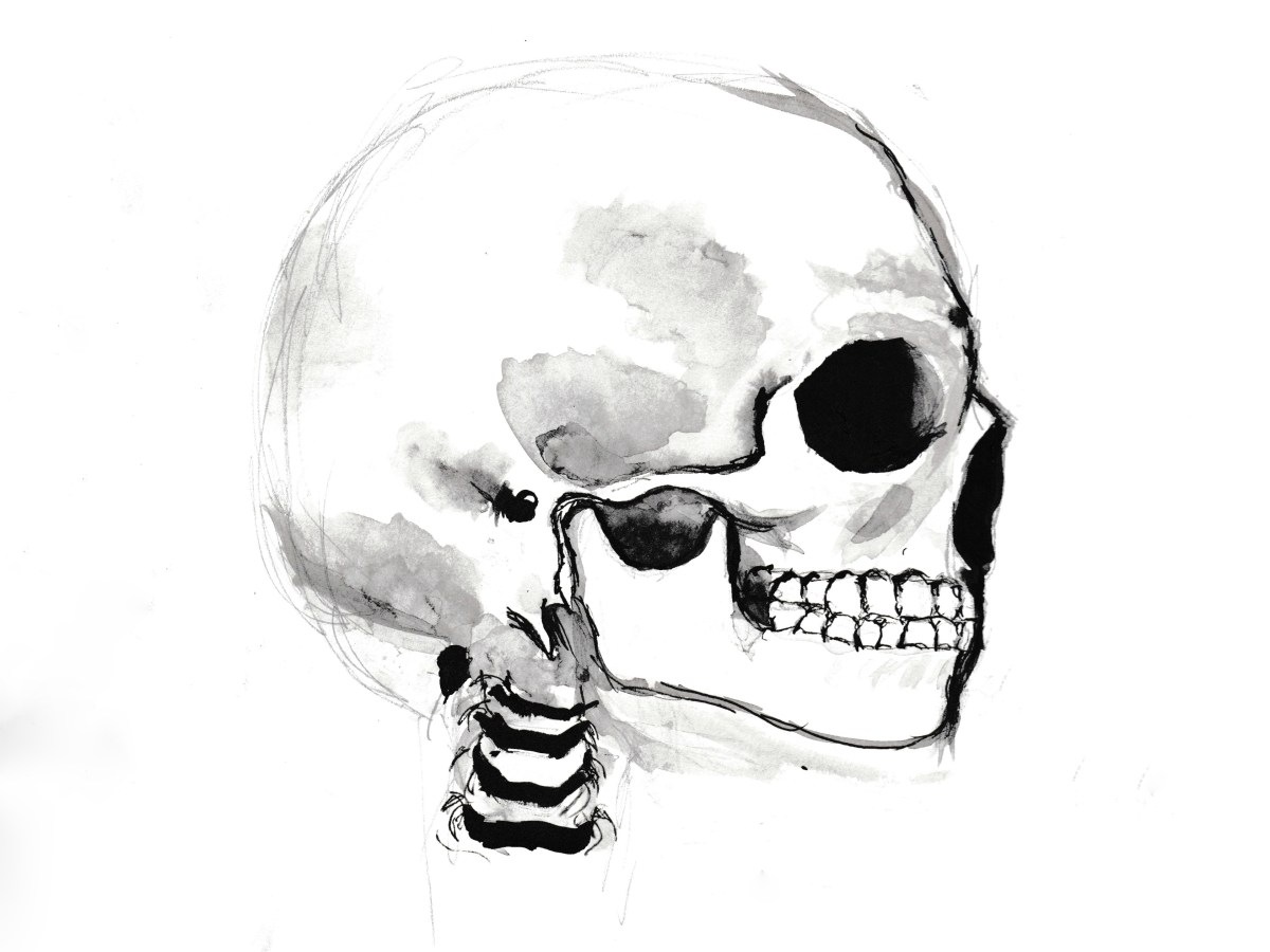 Skull | 1