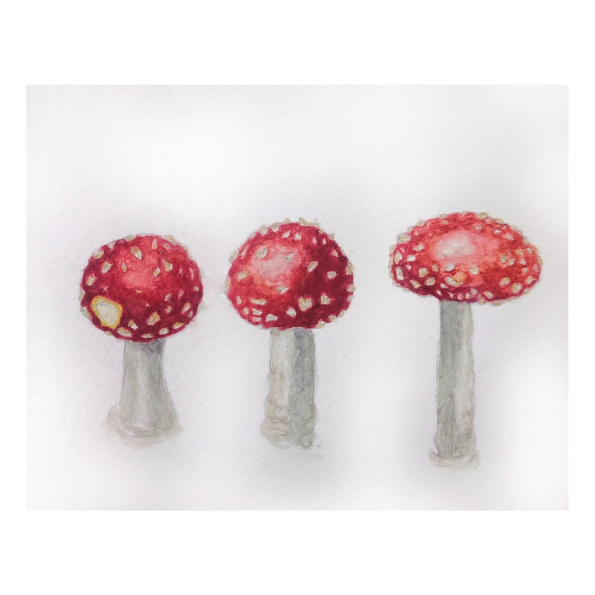 Fly Agaric