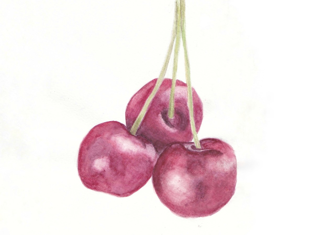 Cherries