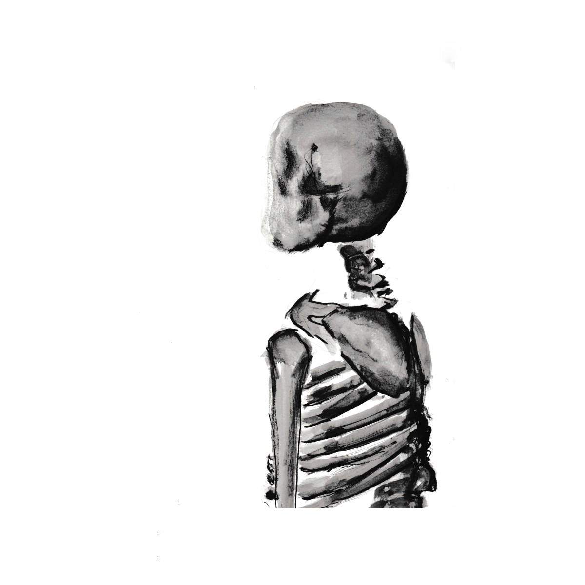 Skull | 2
