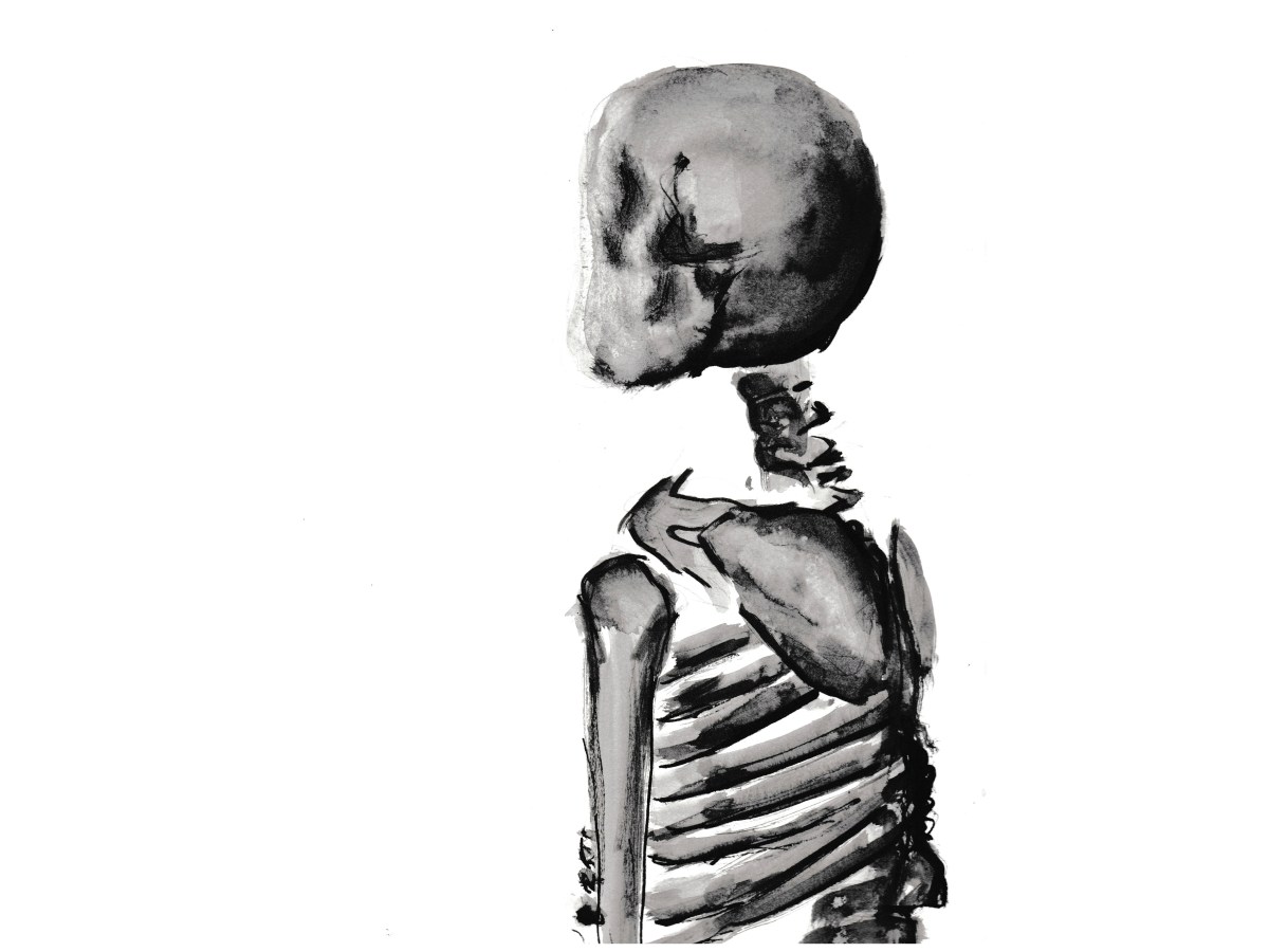 Skull | 2