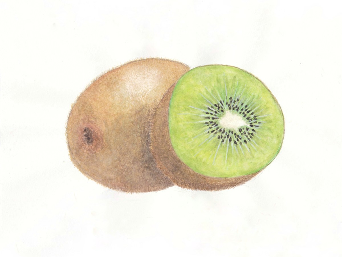 Kiwi