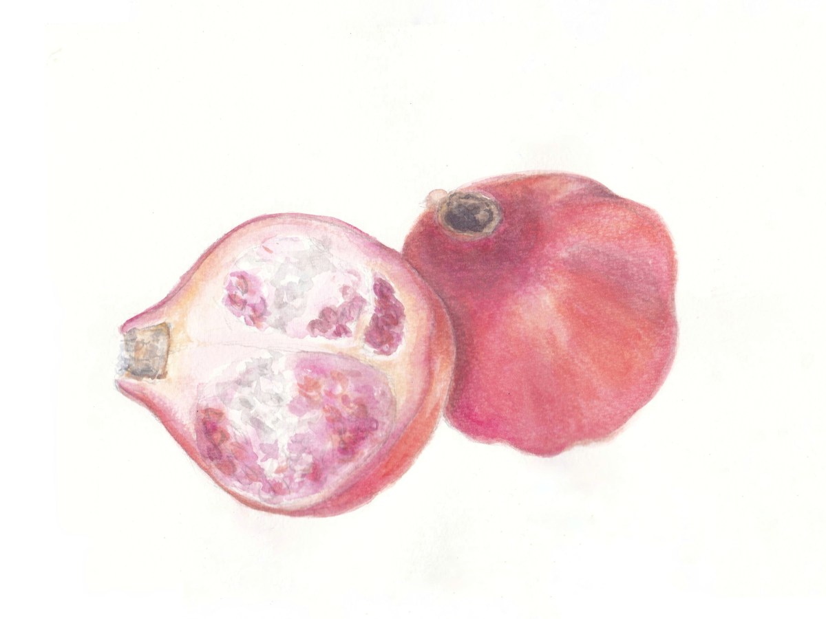 Pomegranate