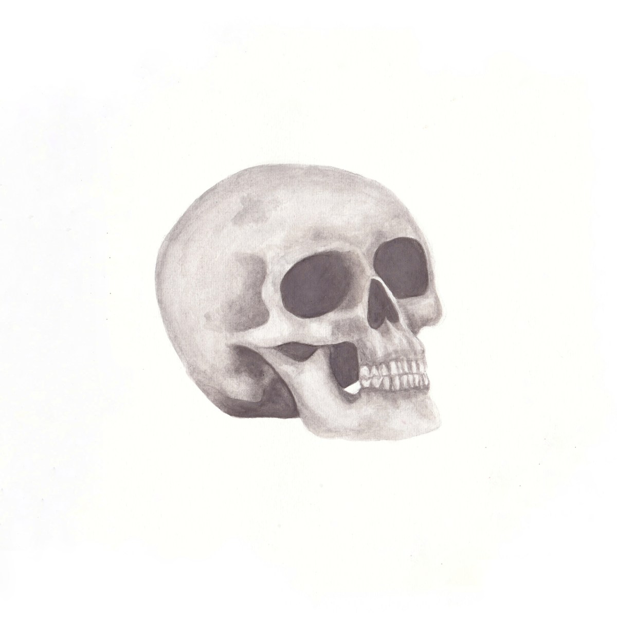 Skull | 4