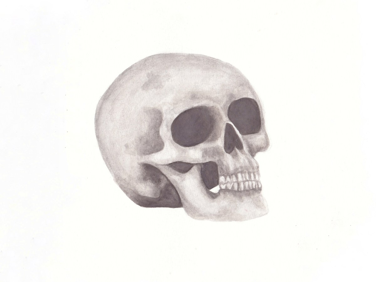 Skull | 4