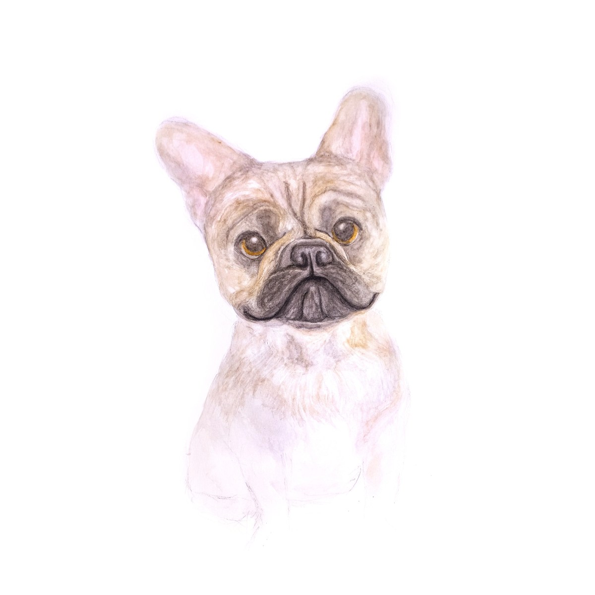 Bruno
