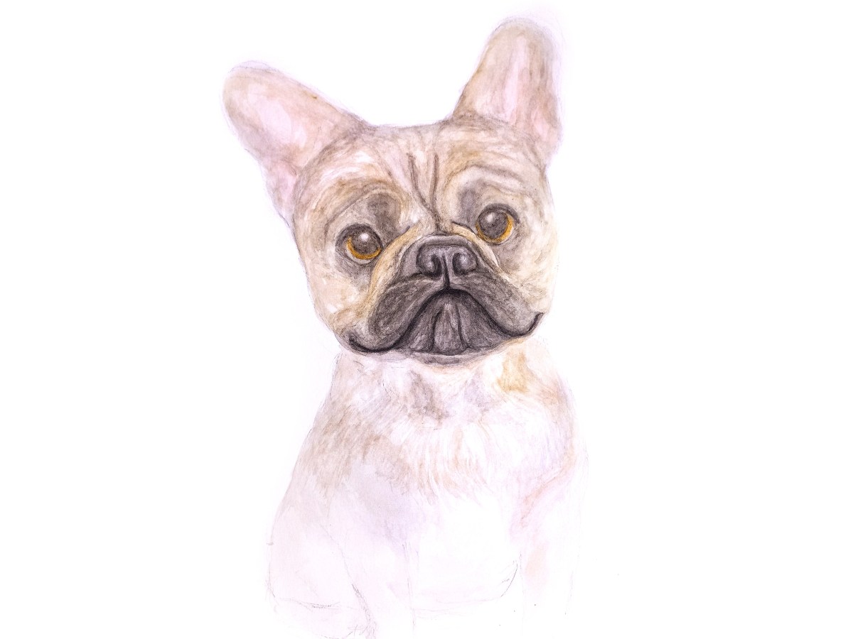 Bruno