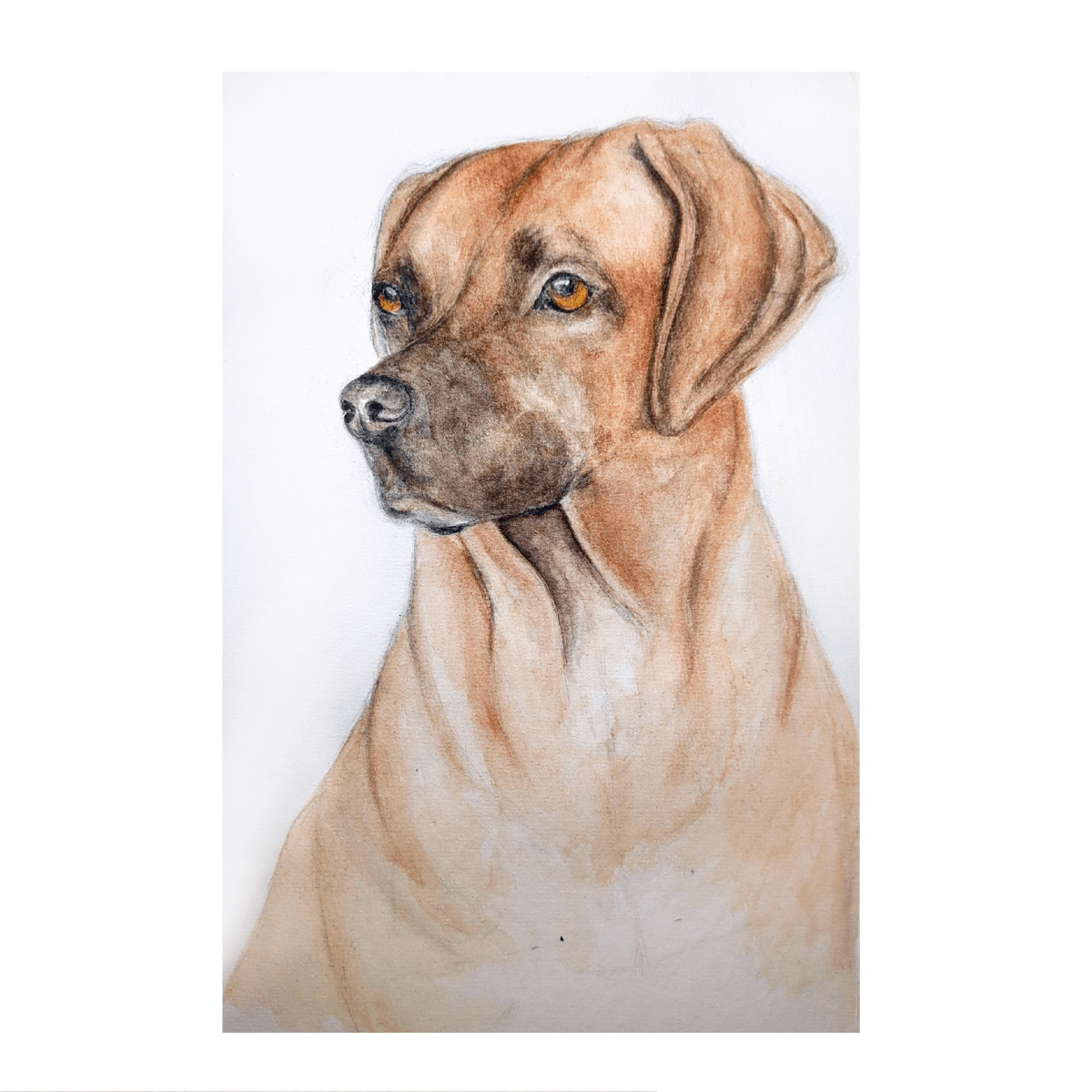 Remi 2